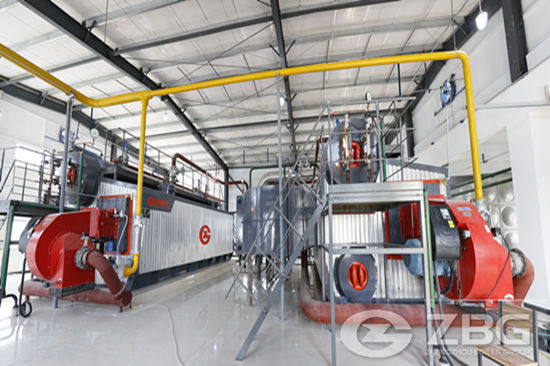 SZS Gas Amp Oil Fired Steam