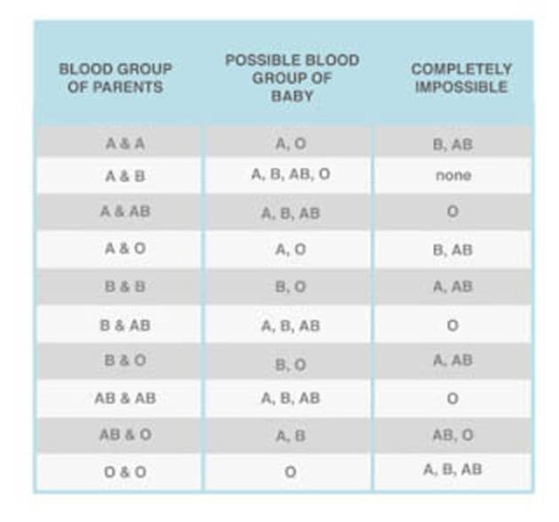 Fetal fibronectin test