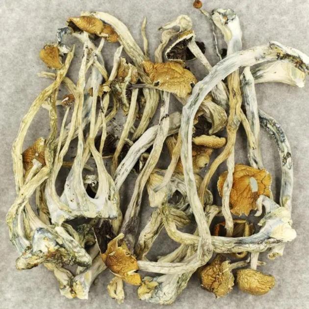 psychedelic treatment for depression - best mushroom for depression