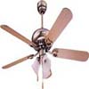Decorative ceiling fan