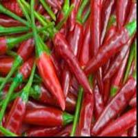 Capsaicin, Capsaicine