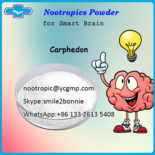 Antidepressant Drugs Carphedon Phenylpiracetam/nootropic@ycgmp.com