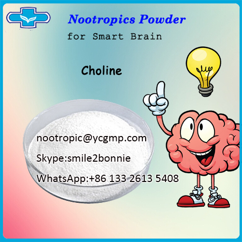 High Quality Nootropics Supplement Choline/nootropic@ycgmp.com
