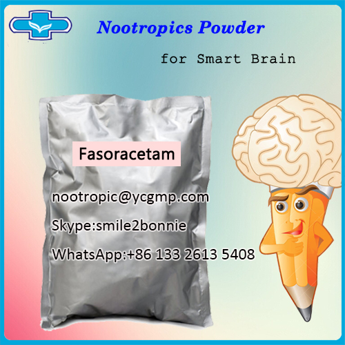 High Purity Nootropic Powder Fasoracetam/nootropic@ycgmp.com