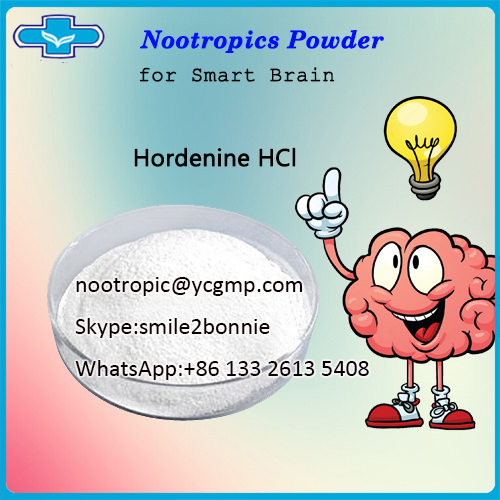 Powerful Supplement Powder Hordenine HCl/nootropic@ycgmp.com