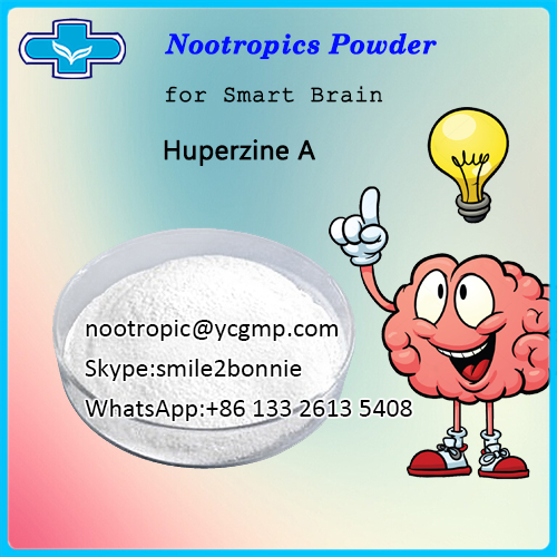 Nootropic Supplement Powder Huperzine A/nootropic@ycgmp.com