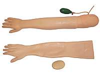 Advanced Artery. Injection Training Arm