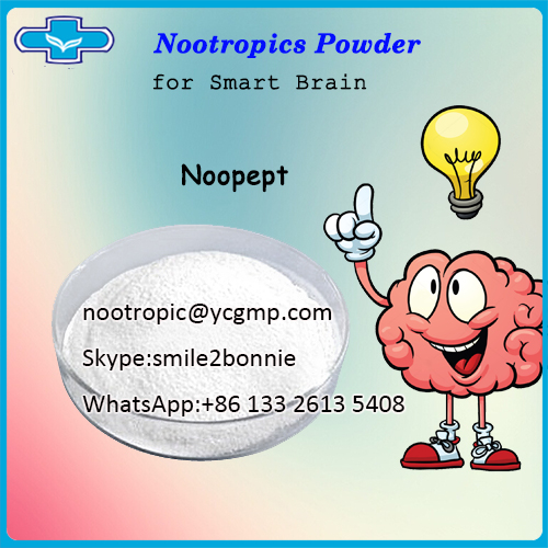 Nootropic Agent Smart Drugs Powder Noopept