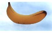 inflatable product replica