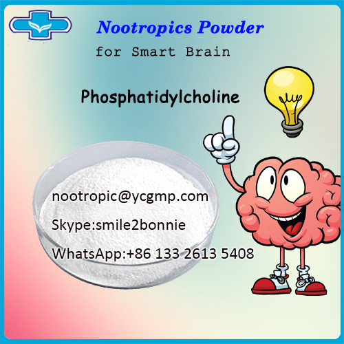Nootropic Supplement Powder Lecithin Phosphatidylcholine/nootropic@ycgmp.com