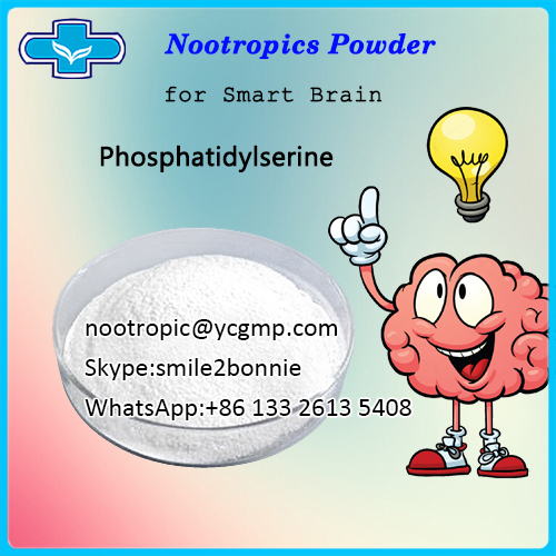 Nootropic Supplement PS Phosphatidylserine Powder/nootropic@ycgmp.com