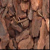 Pine bark extarct 