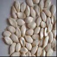 Pumpkin seed extract 