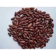 Purple kidney beans