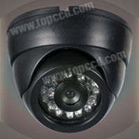 Dome color CCD Camera with 24 / 36 IR LEDs (www.topccd.com / www.topccd.cn / www.topdoctor.com.cn)