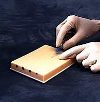 IV Injection Training Pad