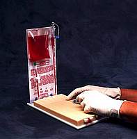 IV Injection Training Pad