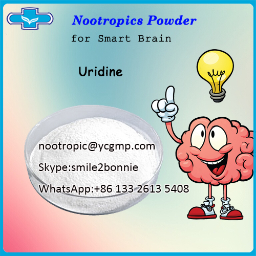 Plant Extract Supplement Powder Uridine Uridinato/nootropic@ycgmp.com