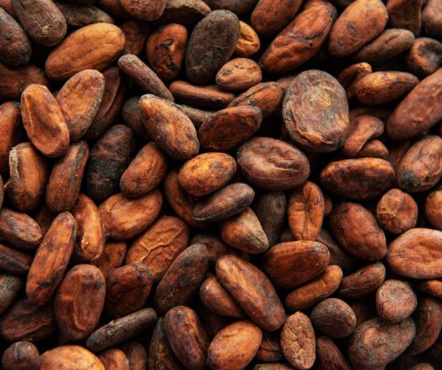 Cocoa Beans Organic