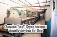 DWT Vegetable-dehydrate Belt Dryer