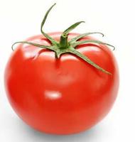 Abc Fresh Tomatoes Export