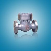 SS  Check valve