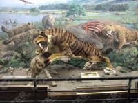 Vivid Animal Tiger Sculpture
