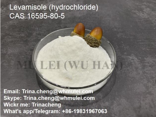 Buy Levamisole Hydrochloride Levamisole Hcl Powder