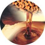 CNSL - Cashew Nut Shell Liquid