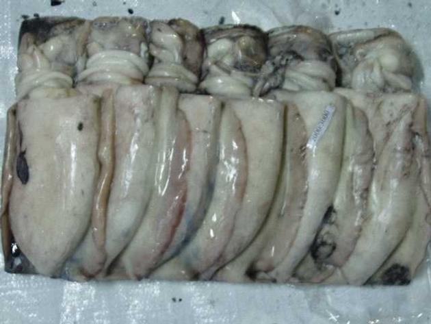 Whole Frozen Cuttlefish