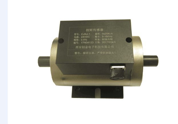 Dynamic Torque Sensor