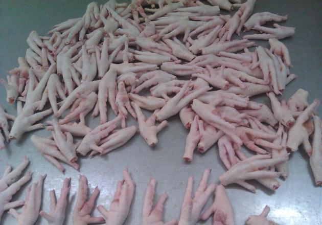 Halal Grade One Chicken Feet Frozen