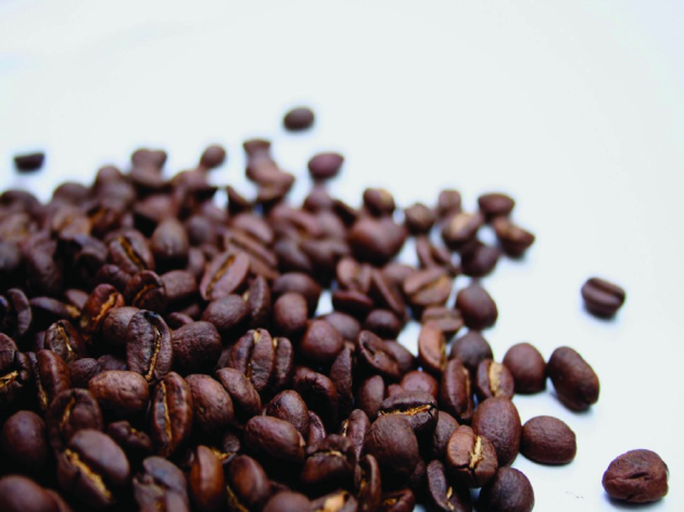 High Quality Roasted Coffee Bean From