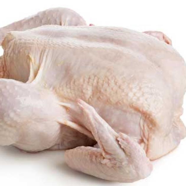 Halal Certified Frozen Whole Chicken For