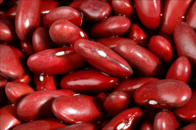 Good Quality Red & White Kidney Bean Dry Pinto Beans for sale