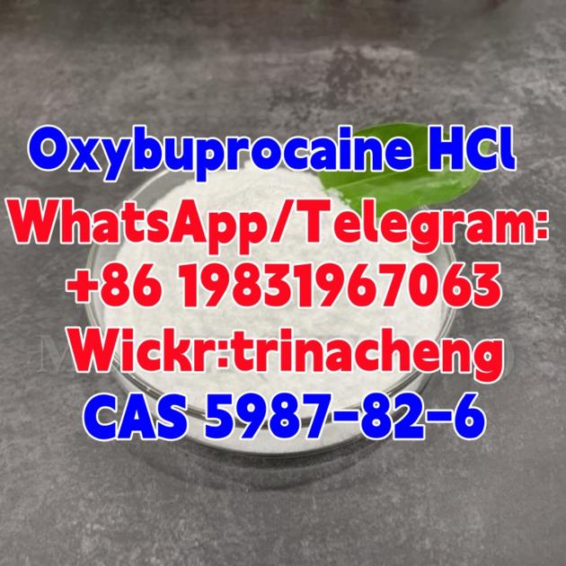 CAS 5987 82 6 Oxybuprocaine Hydrochloride