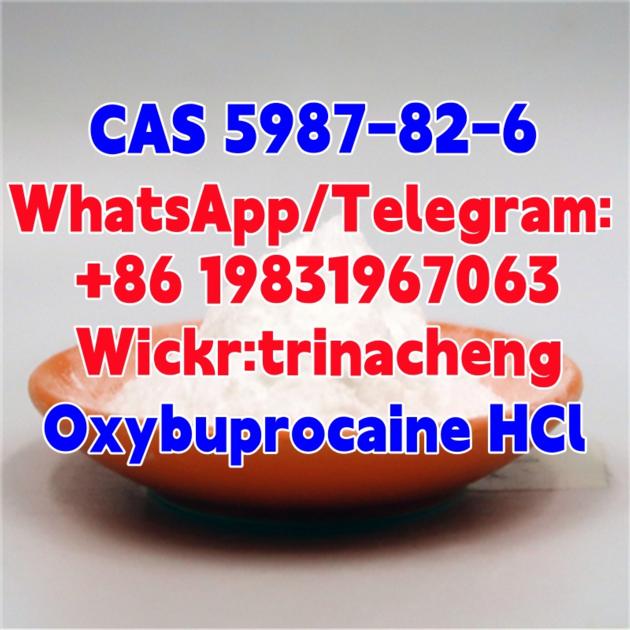 Supply Benoxinate Hydrochloride CAS 5987 82