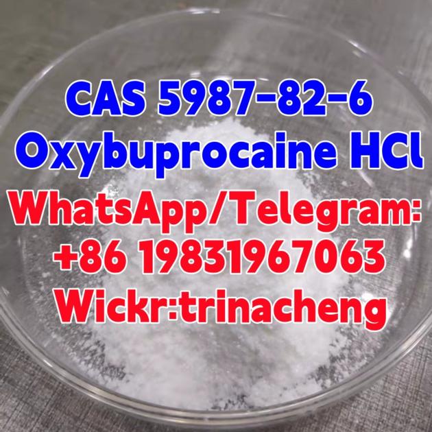 CAS 5987 82 6 Oxybuprocaine Hydrochloride