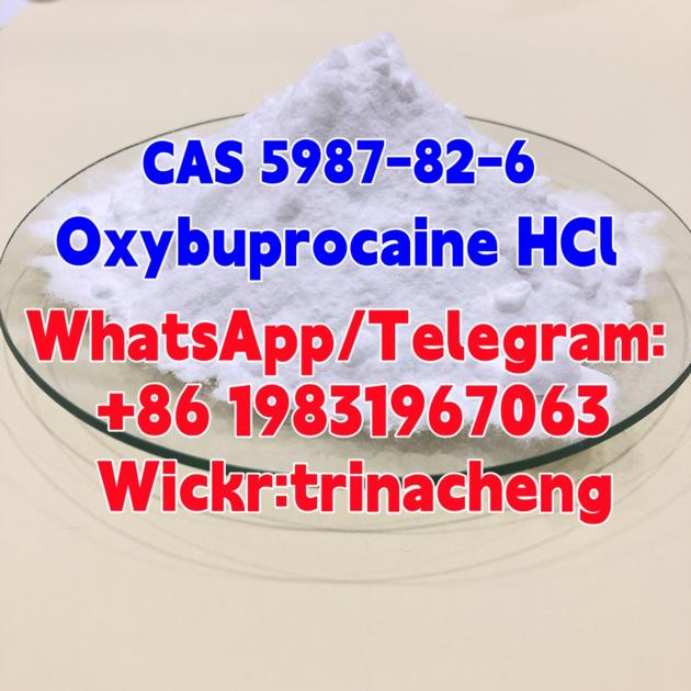 Supply Benoxinate Hydrochloride CAS 5987-82-6 Oxybuprocaine HCl with best price