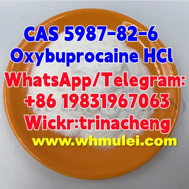 CAS 5987-82-6 Oxybuprocaine Hydrochloride / HCl / Benoxinate HCl