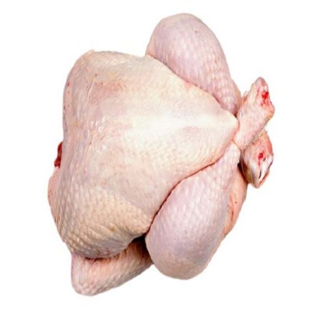 Halal Certified Frozen Whole Chicken For