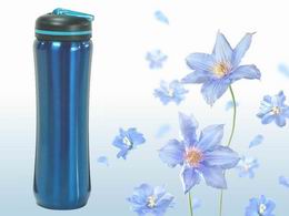 stainless steel bottle