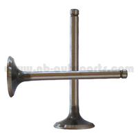 auto valve, car valve, automobile valve