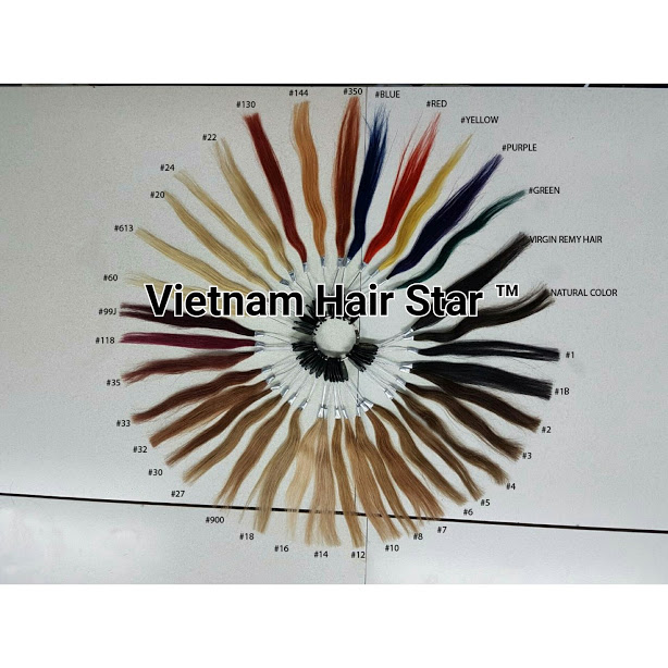 Color Ring / Color Chart