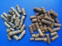 Bagasse Pellet