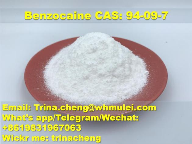 Safety delivery benzocaine powder from factory supplier CAS 94-09-7 
