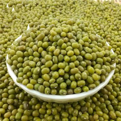 Fresh Green Mung Beans 