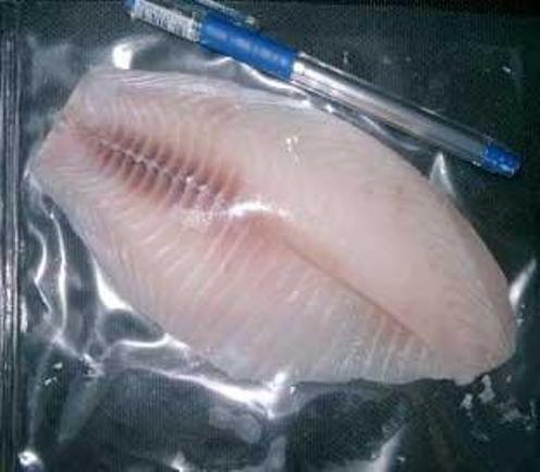 Skinless Frozen Tilapia Fillet