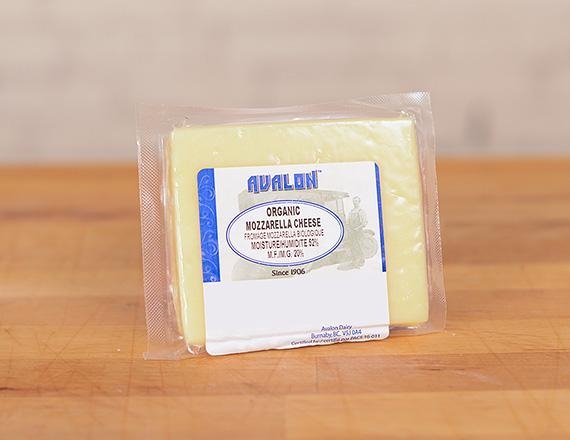 IQF Processed Mozzarella Cheese/Edam Cheese
