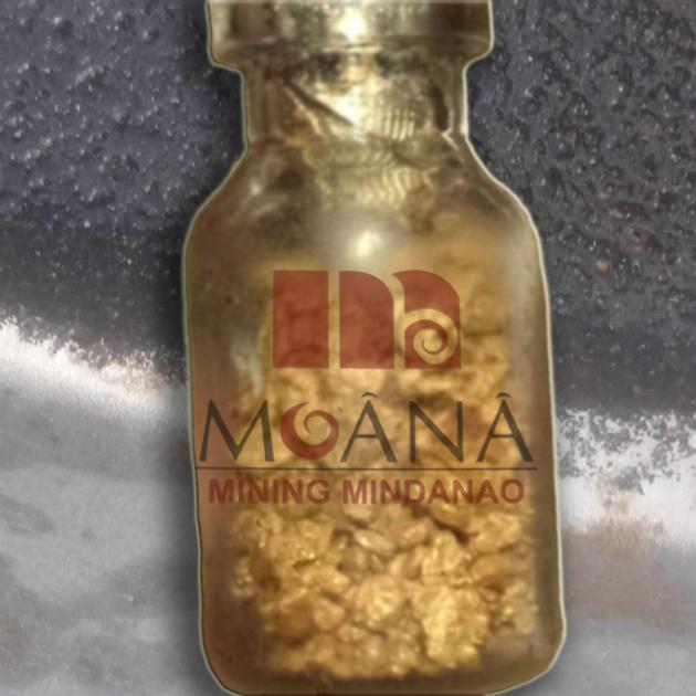Moana Oceania 22k Gold Dore Bars